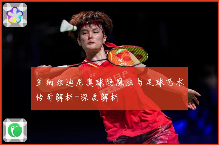 罗纳尔迪尼奥球场魔法与足球艺术传奇解析-深度解析