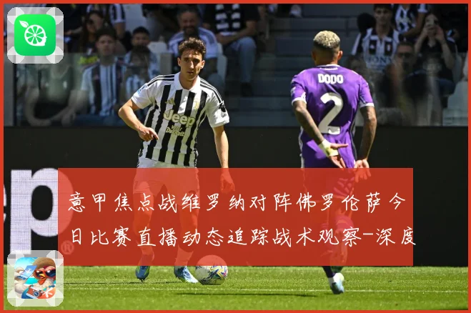 意甲焦点战维罗纳对阵佛罗伦萨今日比赛直播动态追踪战术观察-深度解析