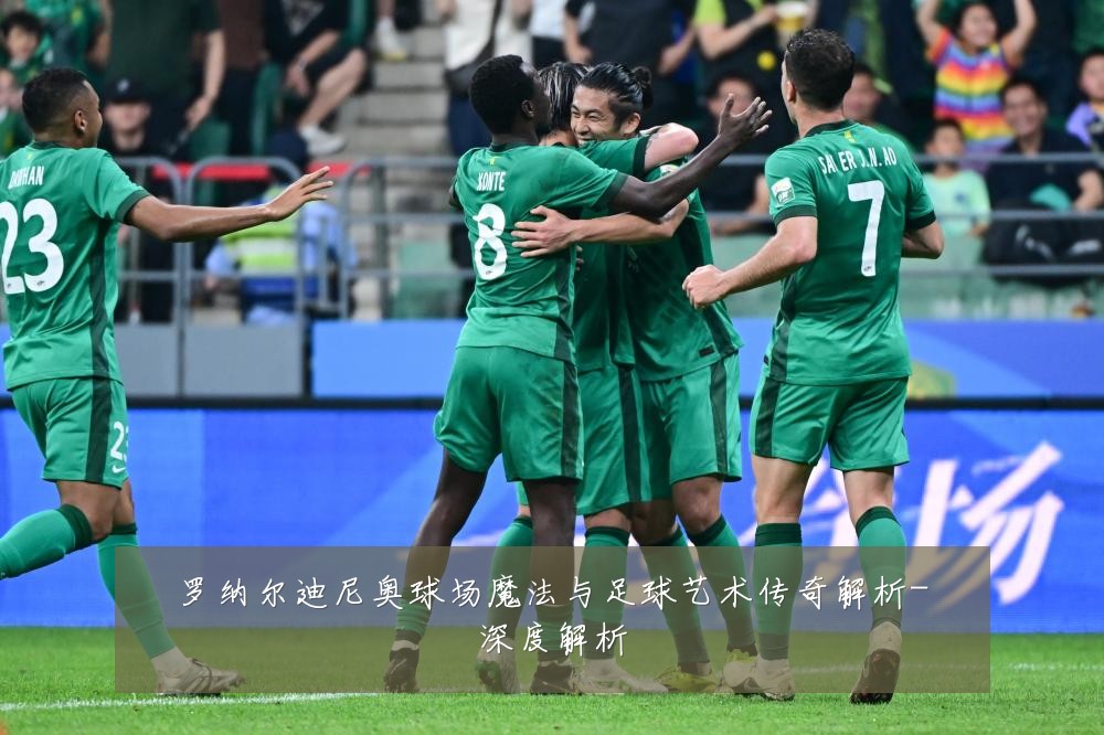 罗纳尔迪尼奥球场魔法与足球艺术传奇解析-深度解析
